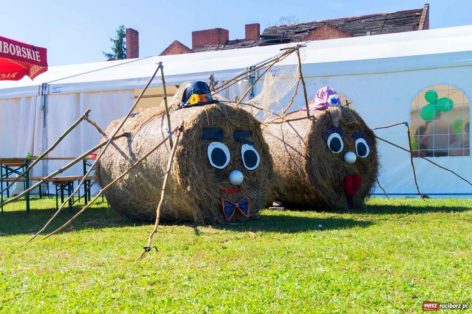 Zdjęcie w galerii na portalu naszraciborz.pl: Przeciąganie liny i królik do wygrania. Dożynki w Górkach Śląskich [FOTO] wiadomości z regionu