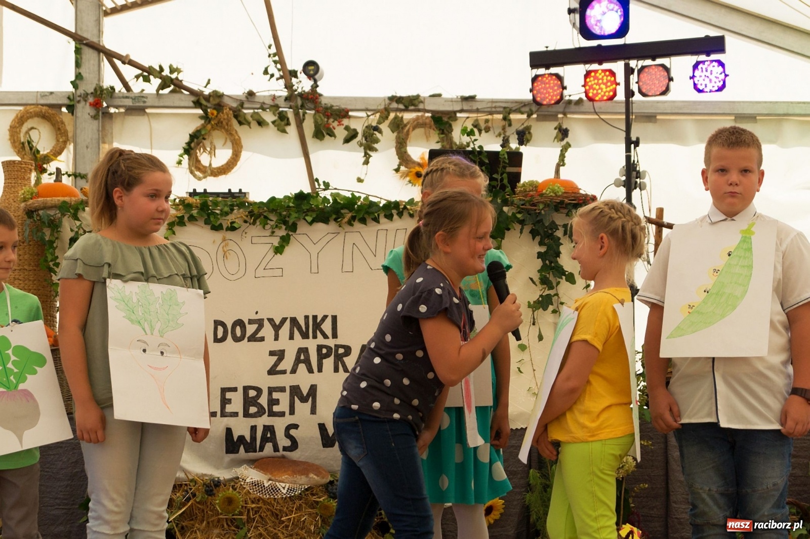Zdjęcie w galerii na portalu naszraciborz.pl: Przeciąganie liny i królik do wygrania. Dożynki w Górkach Śląskich [FOTO] wiadomości z regionu