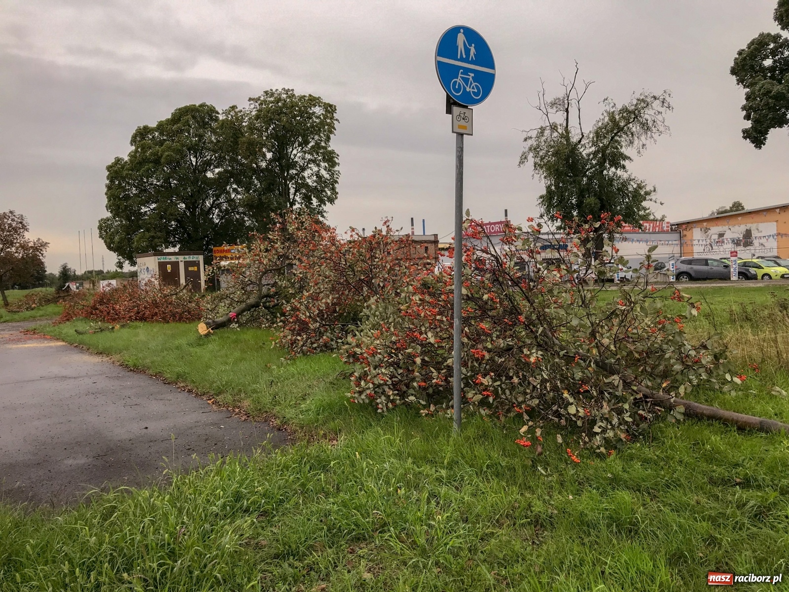 Zdjęcie w galerii na portalu naszraciborz.pl: Co tu się będzie działo! Poważne utrudnienia na Piaskowej-Rybnickiej [FOTO i WIDEO]  wiadomości z regionu