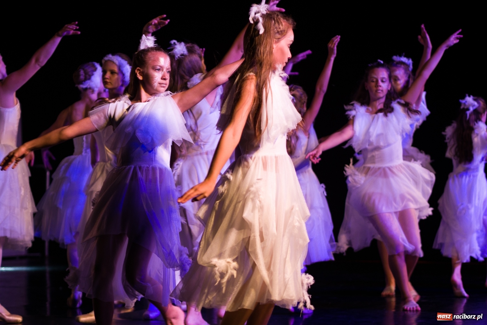 Zdjęcie w galerii na portalu naszraciborz.pl: Spektakl Zaklęty łabędź na jeziorze w Hlučínie [FOTO] wiadomości z regionu