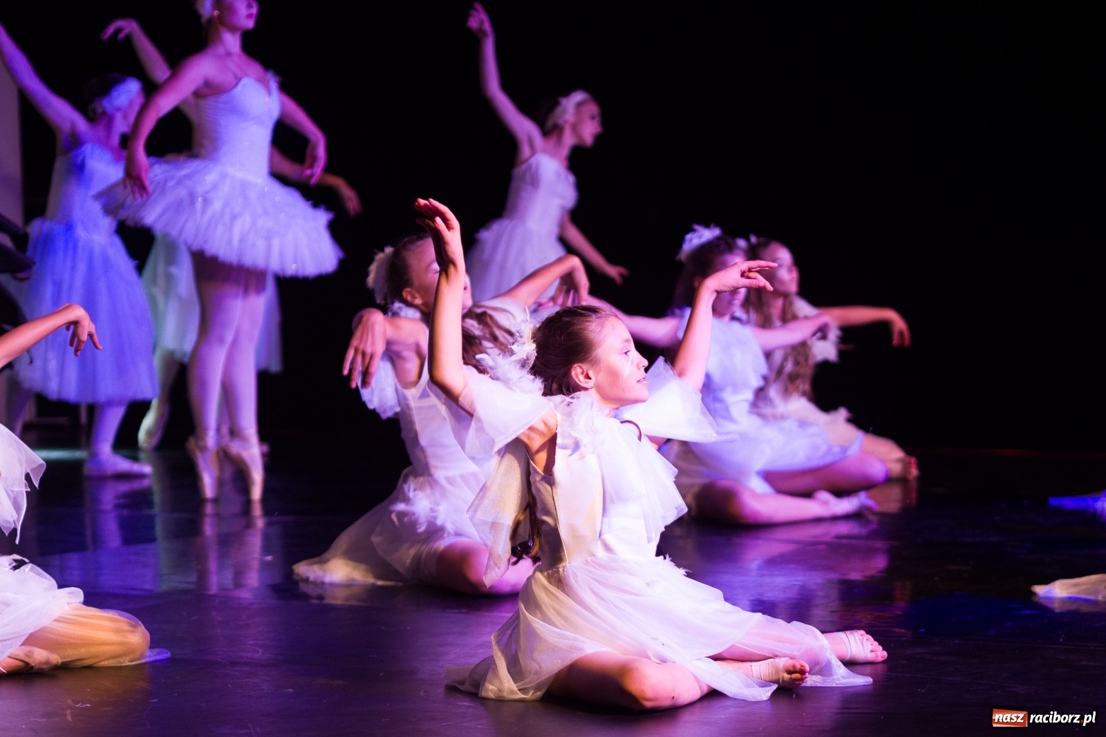 Zdjęcie w galerii na portalu naszraciborz.pl: Spektakl Zaklęty łabędź na jeziorze w Hlučínie [FOTO] wiadomości z regionu