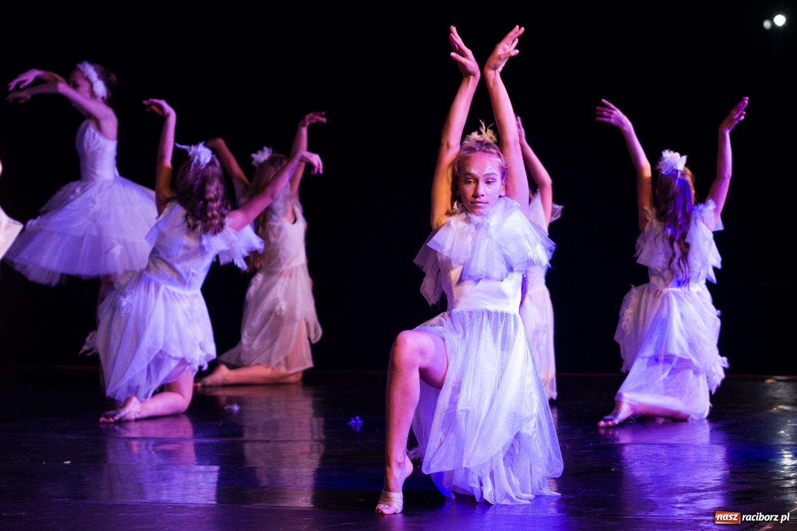 Zdjęcie w galerii na portalu naszraciborz.pl: Spektakl Zaklęty łabędź na jeziorze w Hlučínie [FOTO] wiadomości z regionu