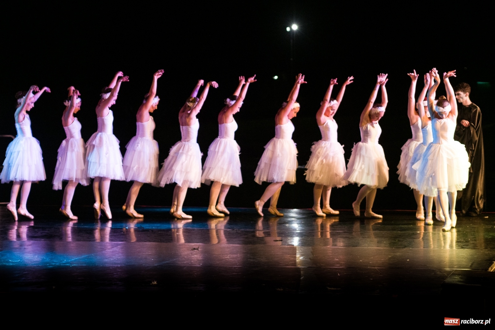 Zdjęcie w galerii na portalu naszraciborz.pl: Spektakl Zaklęty łabędź na jeziorze w Hlučínie [FOTO] wiadomości z regionu