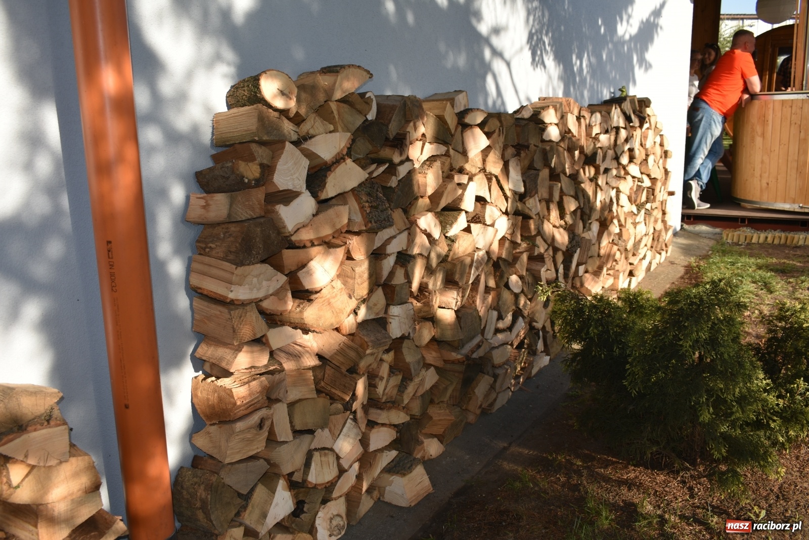 Zdjęcie w galerii na portalu naszraciborz.pl: Nowa jakość fitnessu na raciborskim rynku wiadomości z regionu