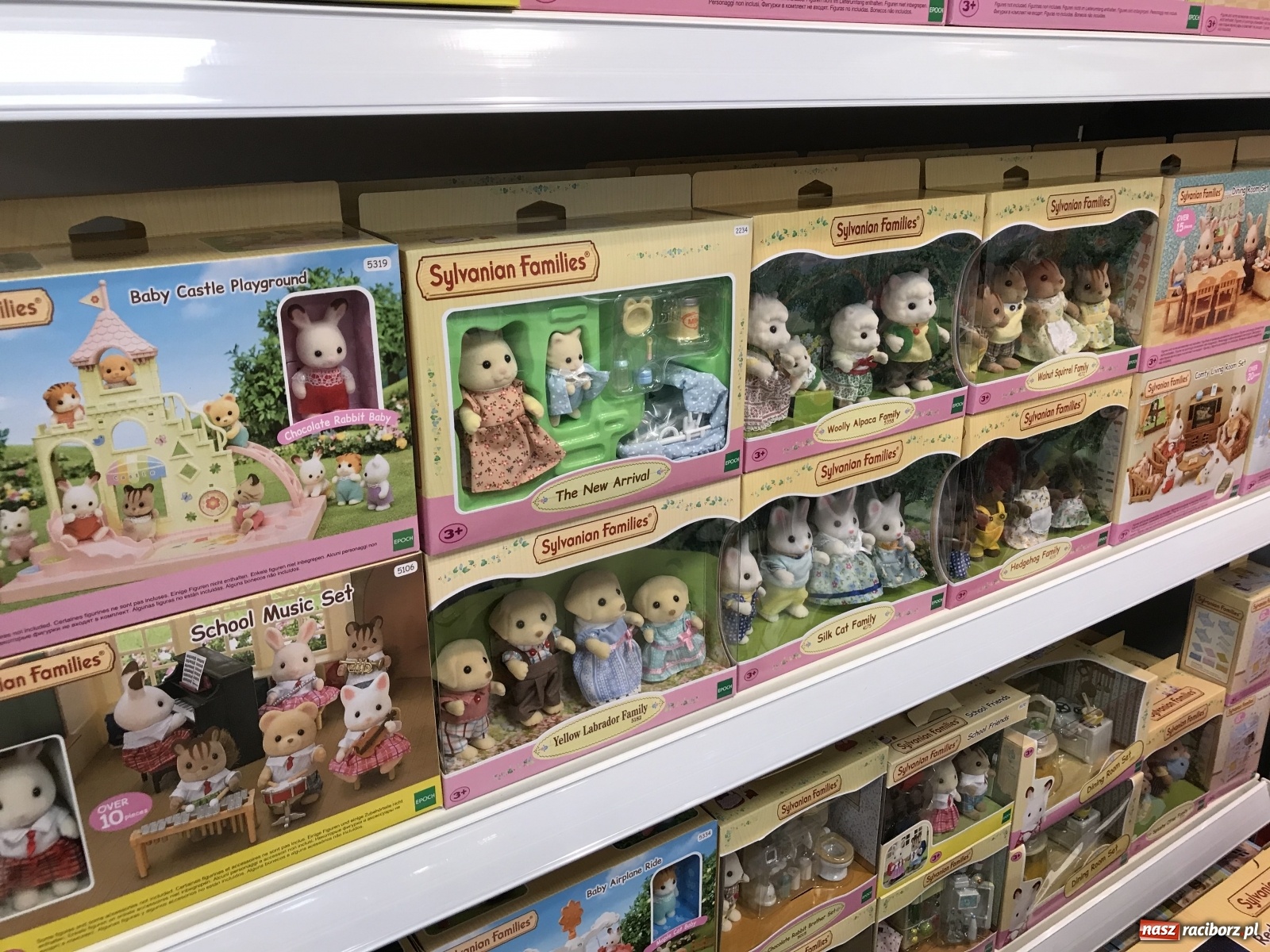 Zdjęcie w galerii na portalu naszraciborz.pl: Wkrótce wielkie otwarcie sklepu zabawkowego Skrzacik w Galerii Srebrnej przy ulicy Opawskiej wiadomości z regionu