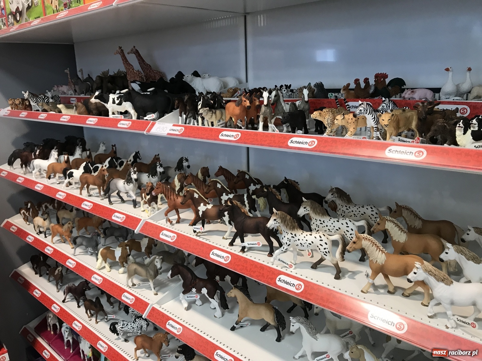 Zdjęcie w galerii na portalu naszraciborz.pl: Wkrótce wielkie otwarcie sklepu zabawkowego Skrzacik w Galerii Srebrnej przy ulicy Opawskiej wiadomości z regionu