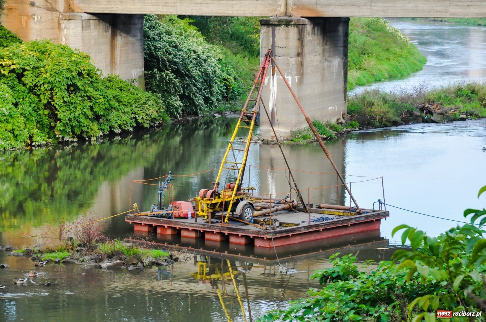 Zdjęcie w galerii na portalu naszraciborz.pl: Tajemniczy obiekt na Odrze przy moście kolejowym [FOTO]  wiadomości z regionu