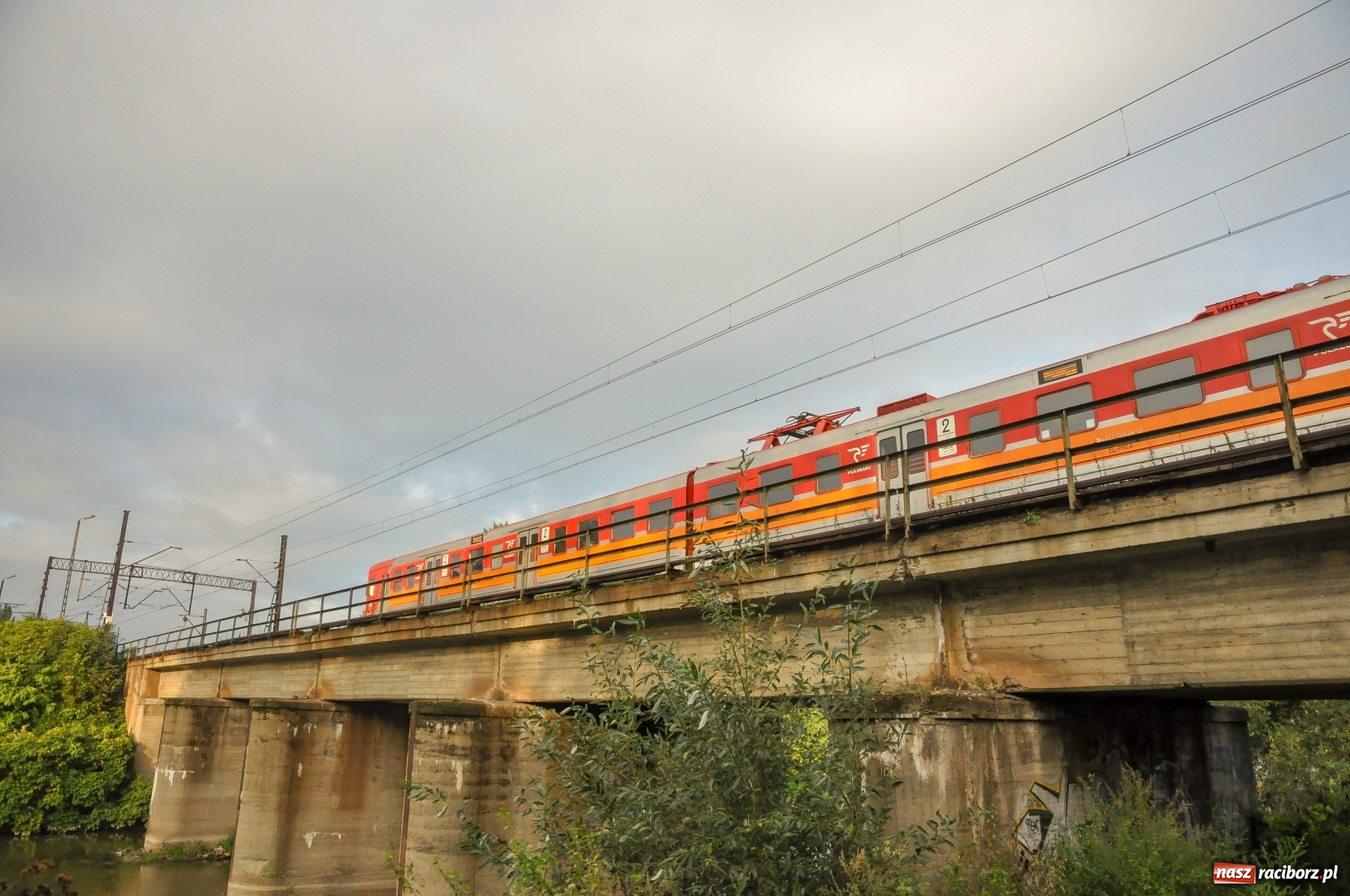 Zdjęcie w galerii na portalu naszraciborz.pl: Tajemniczy obiekt na Odrze przy moście kolejowym [FOTO]  wiadomości z regionu