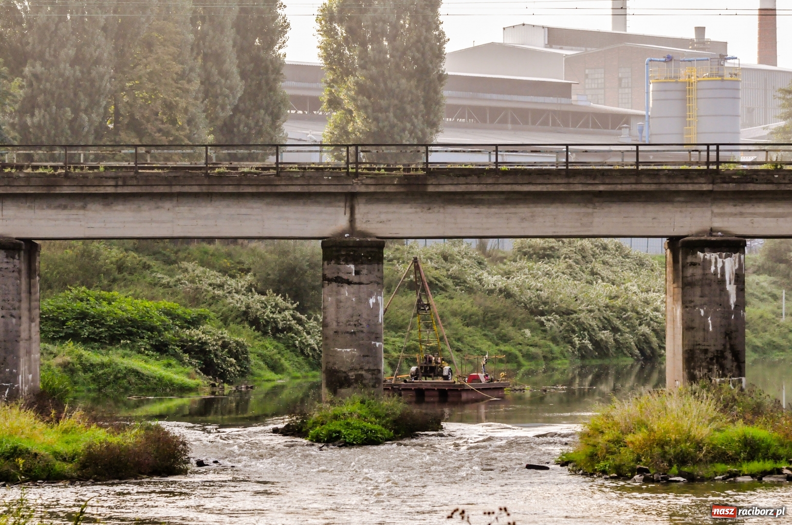 Zdjęcie w galerii na portalu naszraciborz.pl: Tajemniczy obiekt na Odrze przy moście kolejowym [FOTO]  wiadomości z regionu