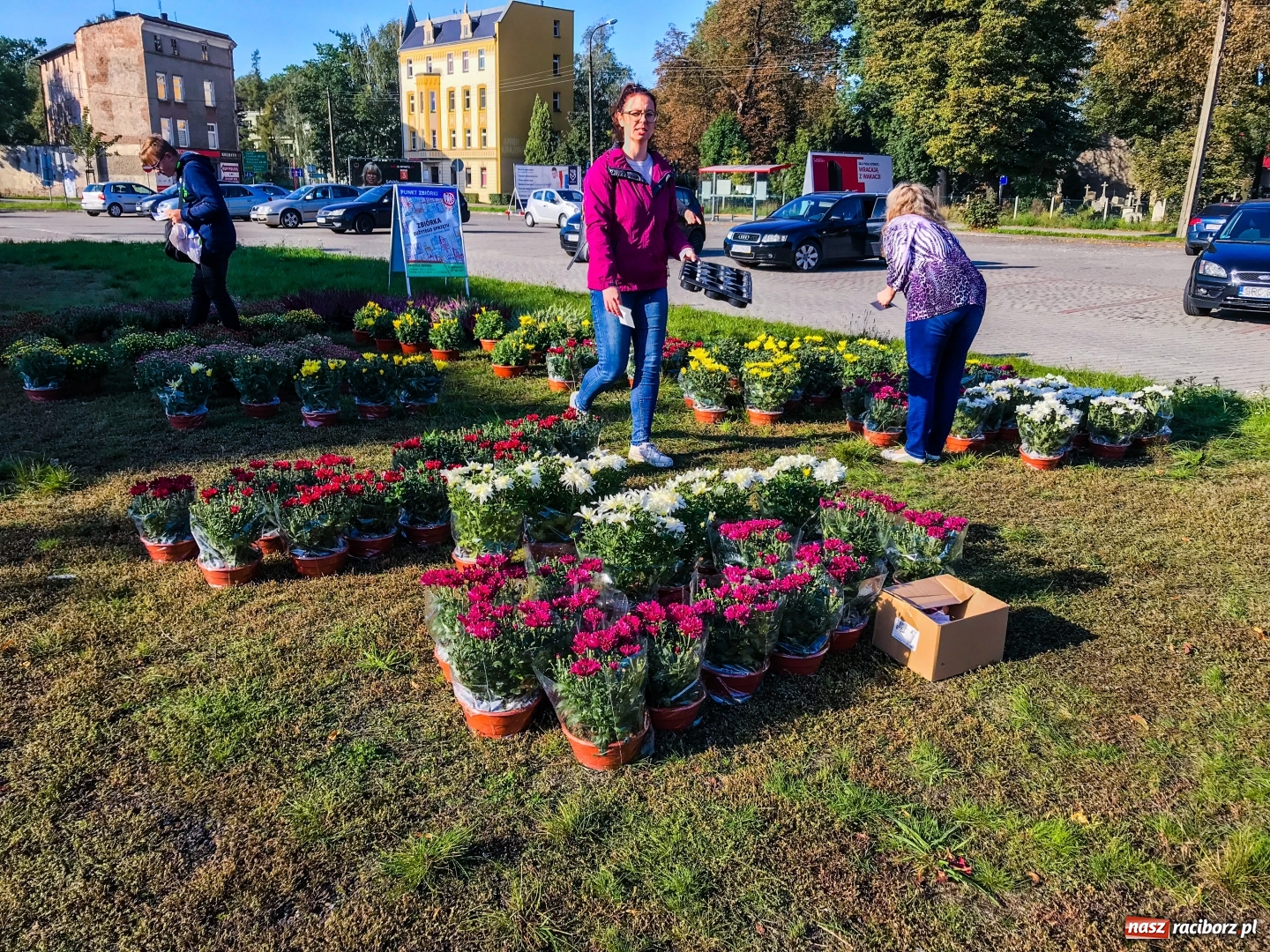 Zdjęcie w galerii na portalu naszraciborz.pl: Wrzosy za elektrośmieci. Trwa zbiórka odpadów  wiadomości z regionu
