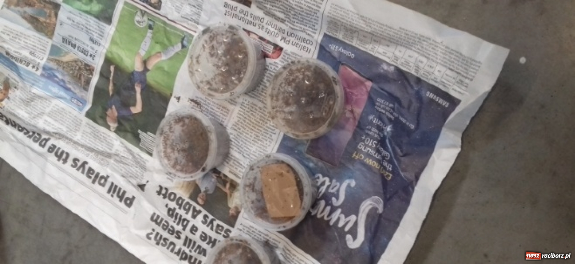 Zdjęcie w galerii na portalu naszraciborz.pl: Celnicy byli w szoku, kiedy to zobaczyli [FOTO] wiadomości z regionu