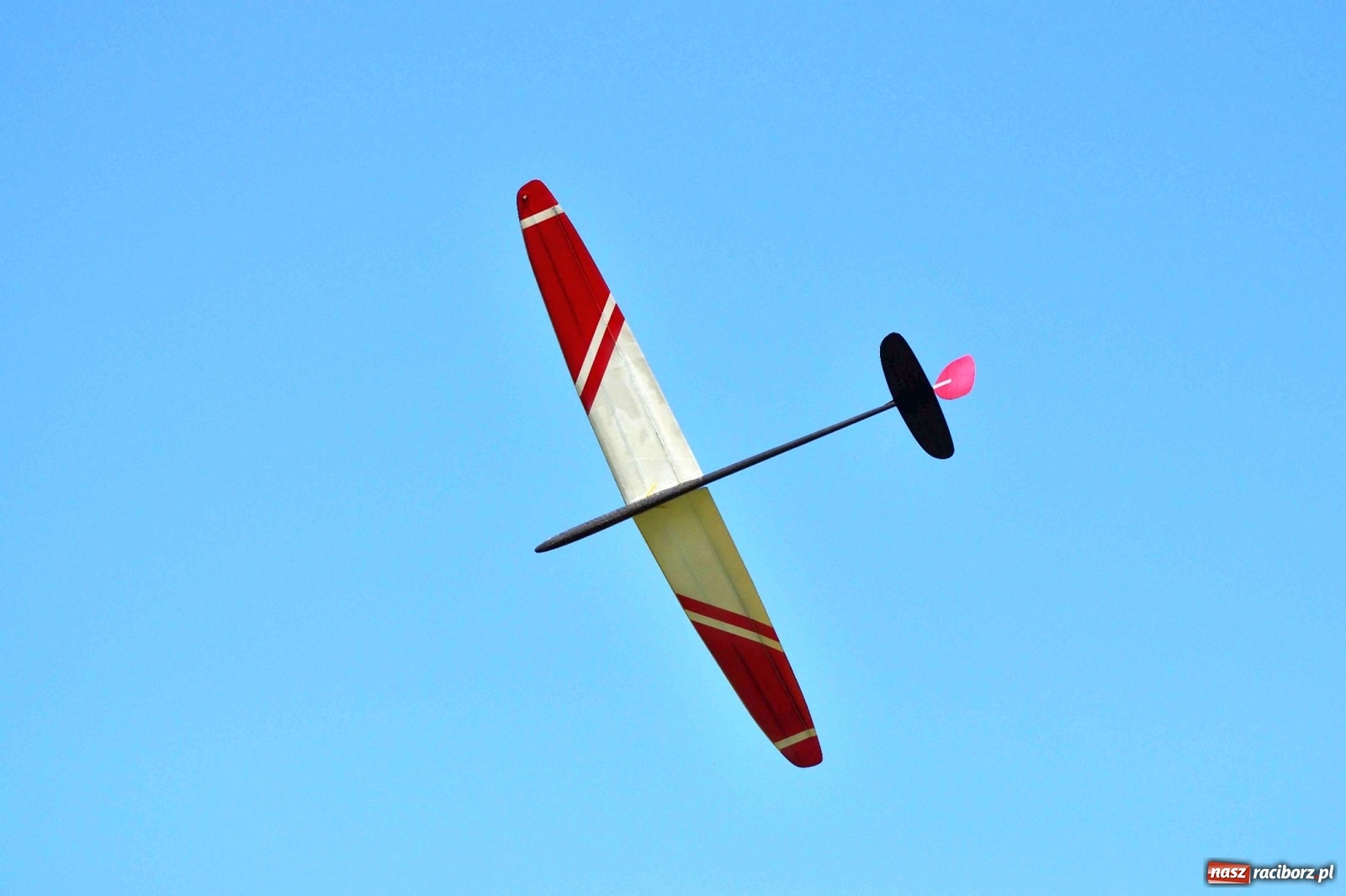 Zdjęcie w galerii na portalu naszraciborz.pl: Racibórz Cup. Modelarze rywalizują na Płoni wiadomości z regionu