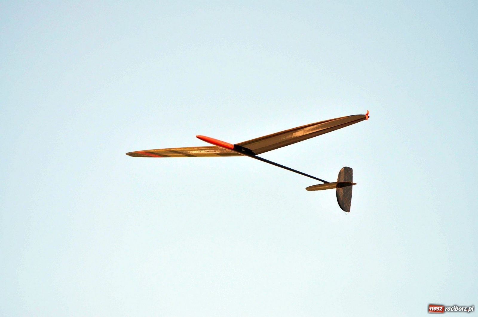 Zdjęcie w galerii na portalu naszraciborz.pl: Racibórz Cup. Modelarze rywalizują na Płoni wiadomości z regionu