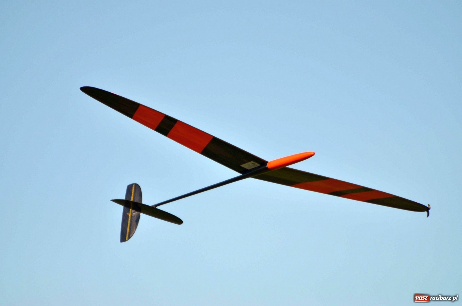 Zdjęcie w galerii na portalu naszraciborz.pl: Racibórz Cup. Modelarze rywalizują na Płoni wiadomości z regionu