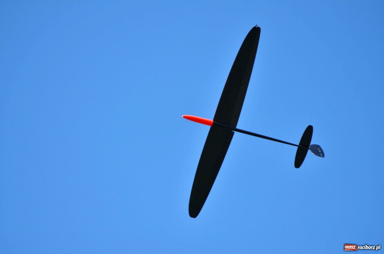 Zdjęcie w galerii na portalu naszraciborz.pl: Racibórz Cup. Modelarze rywalizują na Płoni wiadomości z regionu