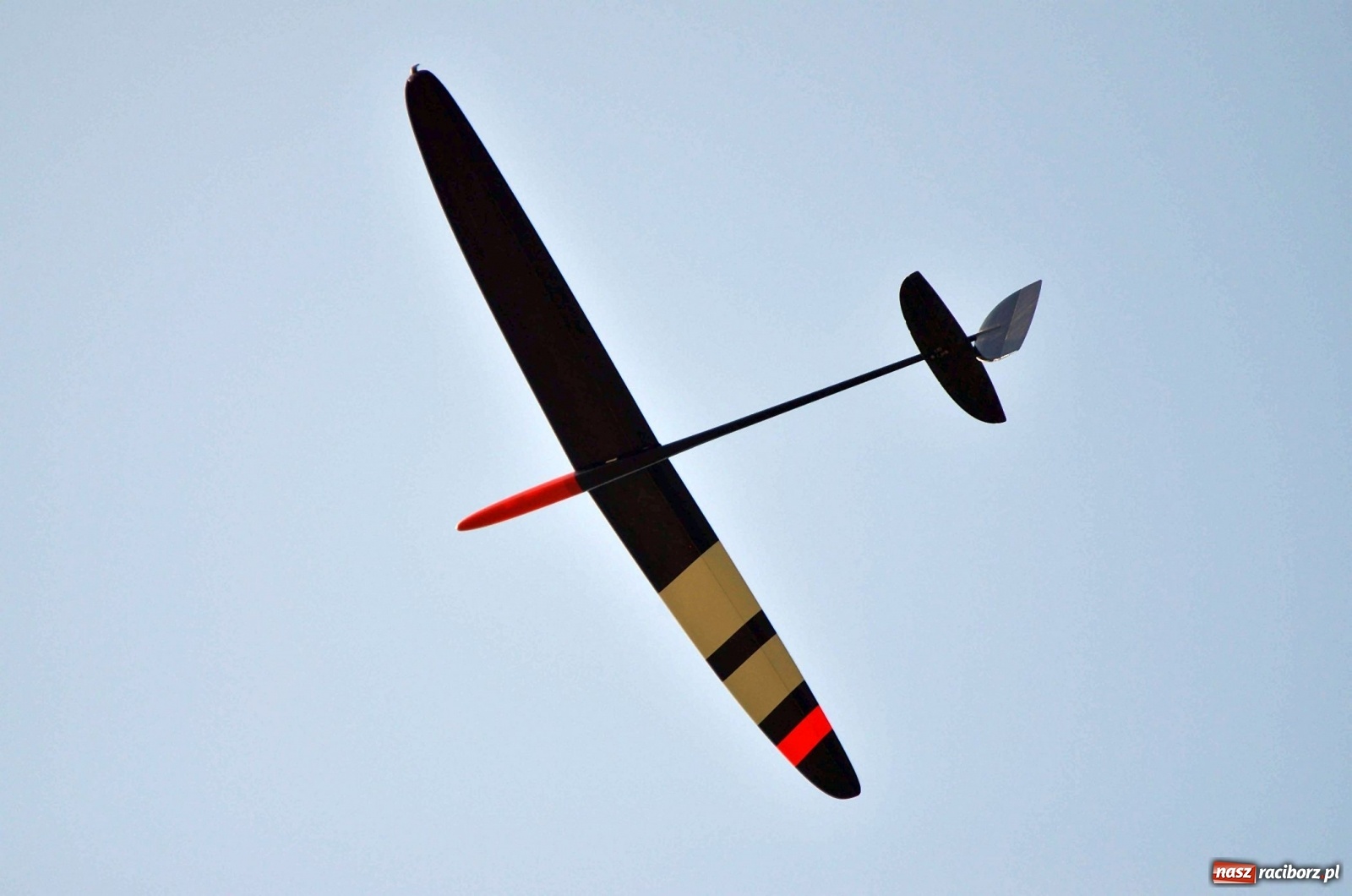 Zdjęcie w galerii na portalu naszraciborz.pl: Racibórz Cup. Modelarze rywalizują na Płoni wiadomości z regionu