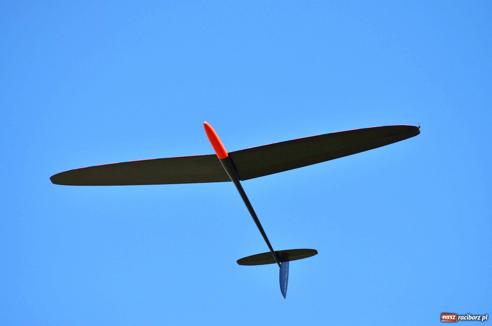 Zdjęcie w galerii na portalu naszraciborz.pl: Racibórz Cup. Modelarze rywalizują na Płoni wiadomości z regionu