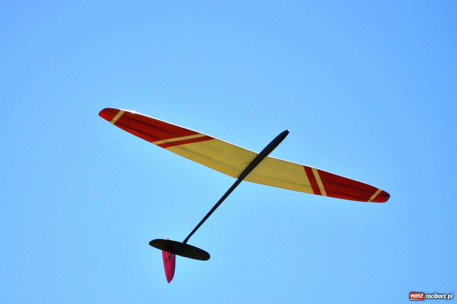 Zdjęcie w galerii na portalu naszraciborz.pl: Racibórz Cup. Modelarze rywalizują na Płoni wiadomości z regionu