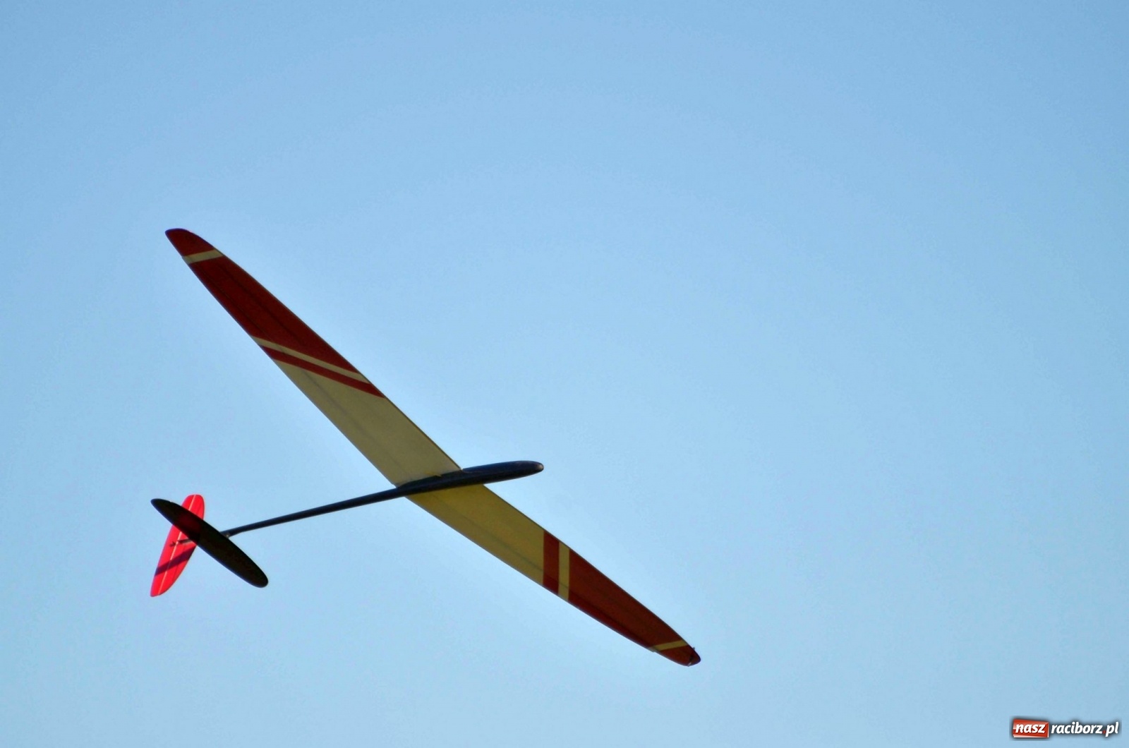 Zdjęcie w galerii na portalu naszraciborz.pl: Racibórz Cup. Modelarze rywalizują na Płoni wiadomości z regionu