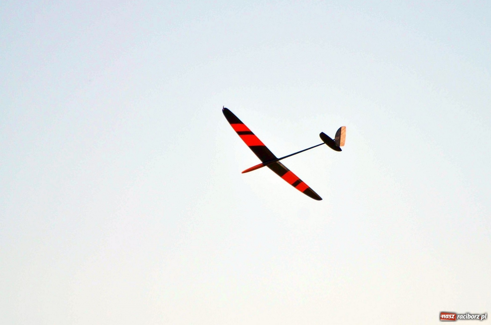 Zdjęcie w galerii na portalu naszraciborz.pl: Racibórz Cup. Modelarze rywalizują na Płoni wiadomości z regionu