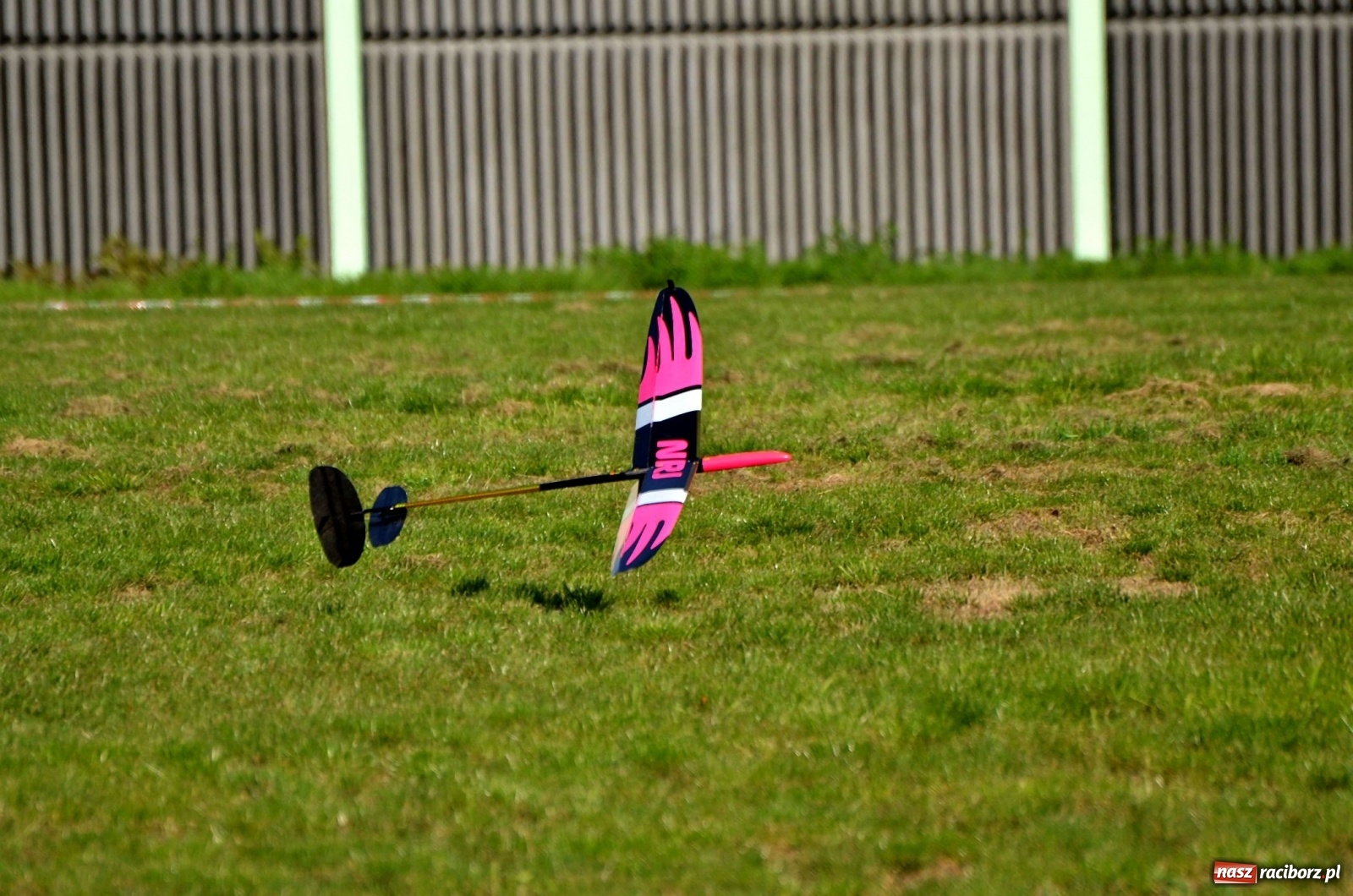 Zdjęcie w galerii na portalu naszraciborz.pl: Racibórz Cup. Modelarze rywalizują na Płoni wiadomości z regionu