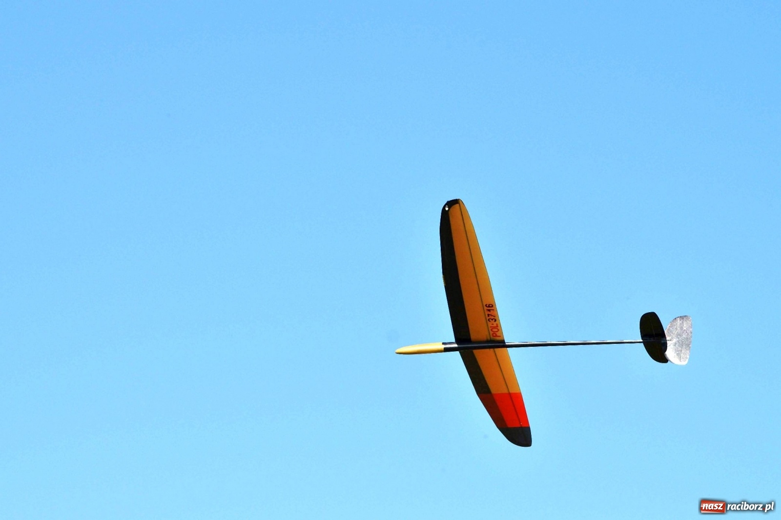 Zdjęcie w galerii na portalu naszraciborz.pl: Racibórz Cup. Modelarze rywalizują na Płoni wiadomości z regionu