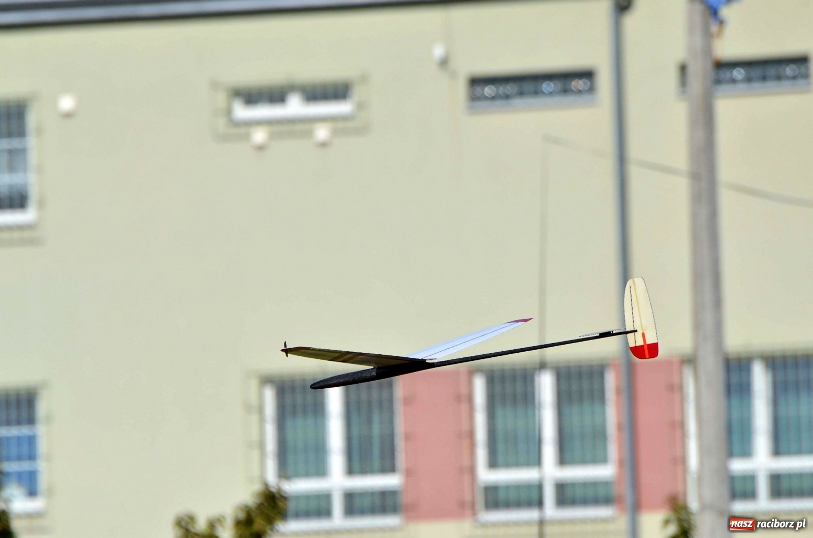 Zdjęcie w galerii na portalu naszraciborz.pl: Racibórz Cup. Modelarze rywalizują na Płoni wiadomości z regionu