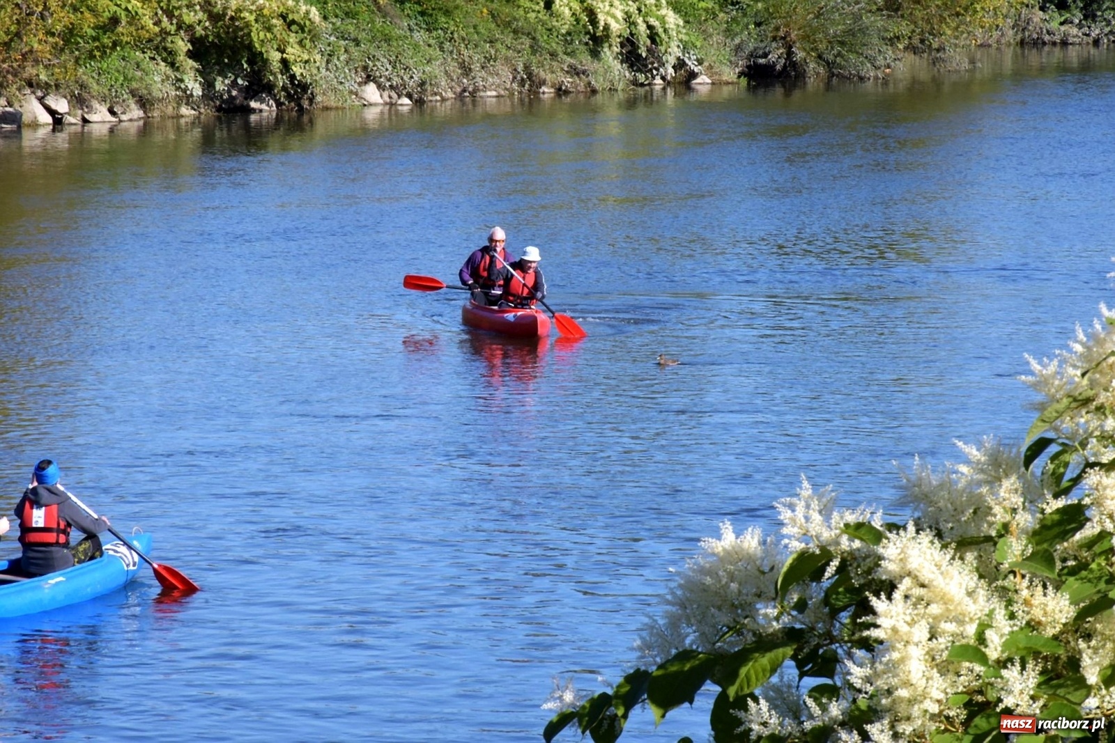 Zdjęcie w galerii na portalu naszraciborz.pl: Sezon wodniacki na Odrze zakończony  wiadomości z regionu