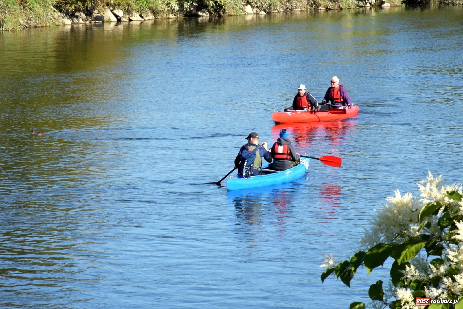 Zdjęcie w galerii na portalu naszraciborz.pl: Sezon wodniacki na Odrze zakończony  wiadomości z regionu