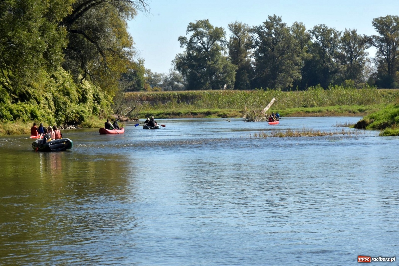 Zdjęcie w galerii na portalu naszraciborz.pl: Sezon wodniacki na Odrze zakończony  wiadomości z regionu