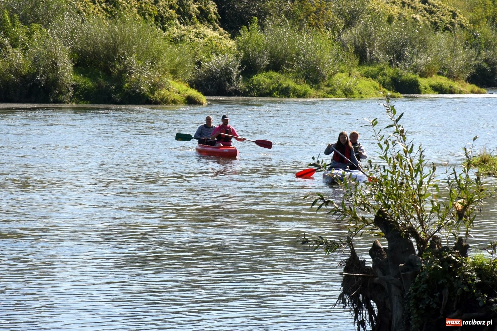 Zdjęcie w galerii na portalu naszraciborz.pl: Sezon wodniacki na Odrze zakończony  wiadomości z regionu