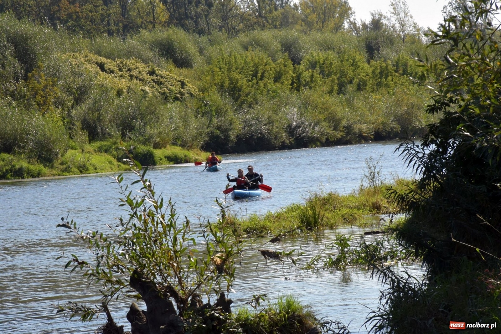 Zdjęcie w galerii na portalu naszraciborz.pl: Sezon wodniacki na Odrze zakończony  wiadomości z regionu