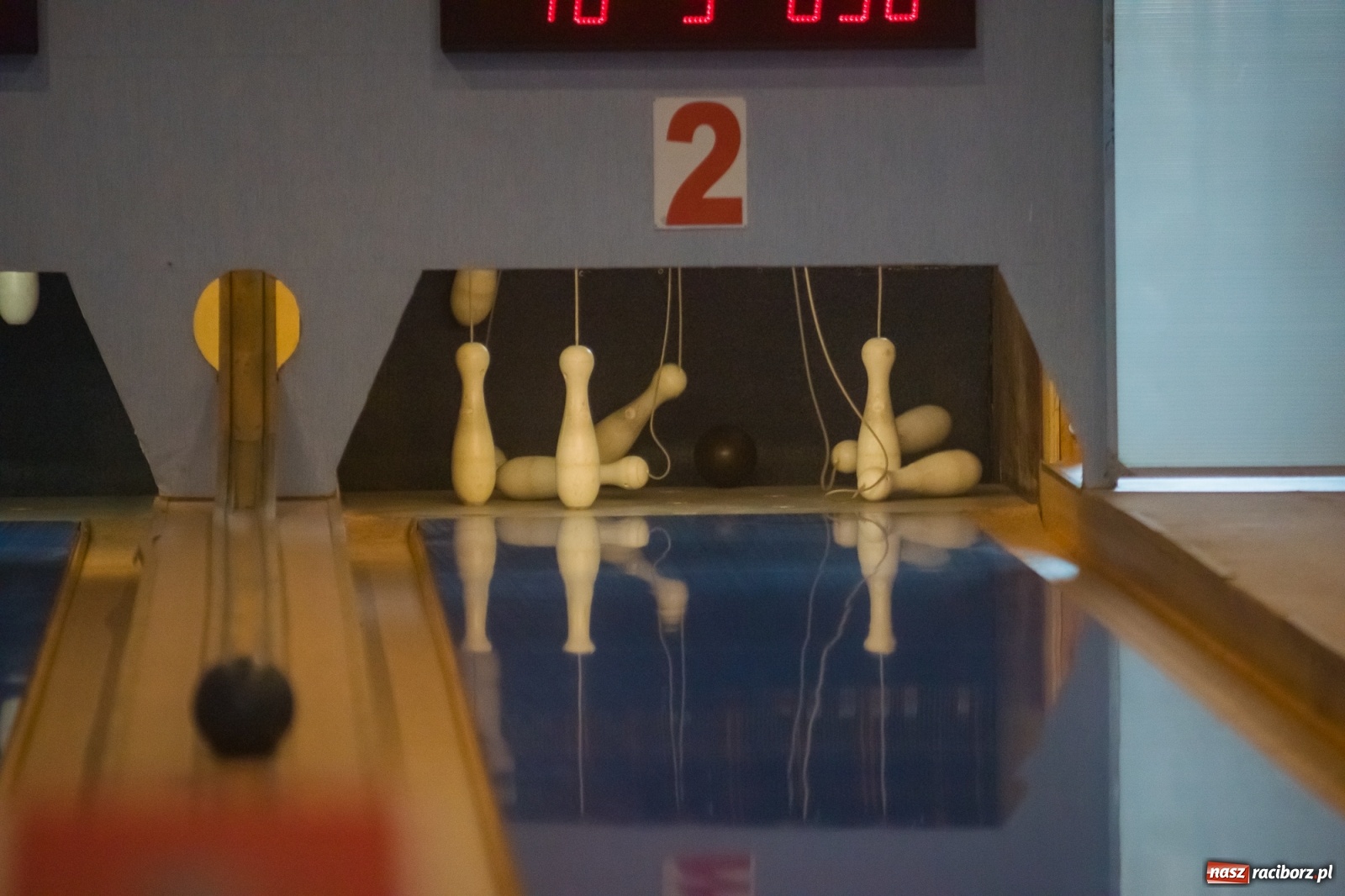 Zdjęcie w galerii na portalu naszraciborz.pl: Dobra zabawa to podstawa! [FOTO i WIDEO] wiadomości z regionu