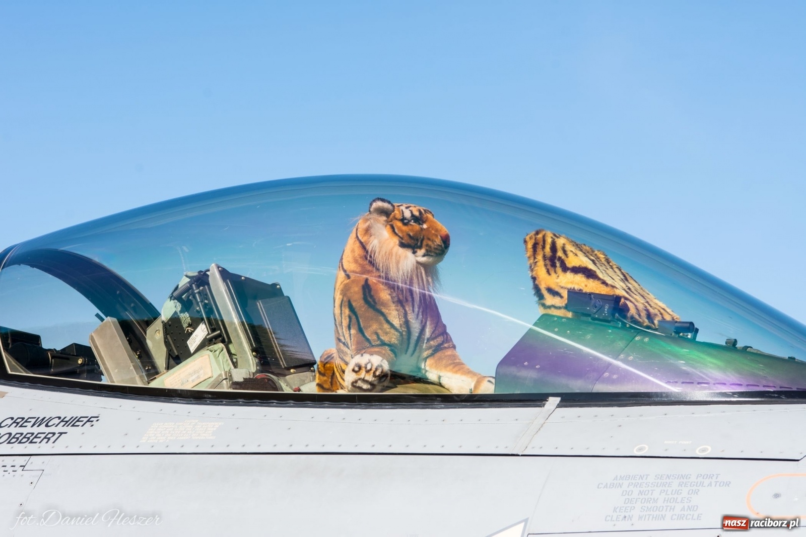 Zdjęcie w galerii na portalu naszraciborz.pl: Operacja Overlord. Trwają Dni NATO w Ostrawie [FOTO]  wiadomości z regionu