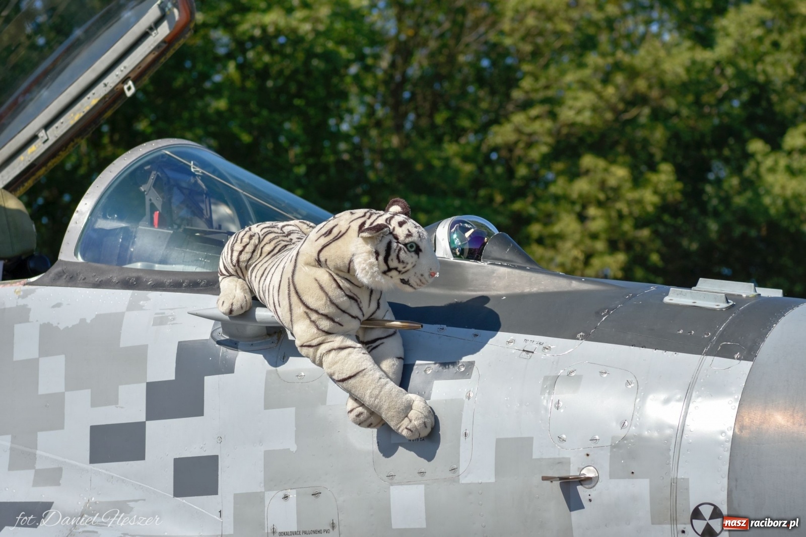 Zdjęcie w galerii na portalu naszraciborz.pl: Operacja Overlord. Trwają Dni NATO w Ostrawie [FOTO]  wiadomości z regionu