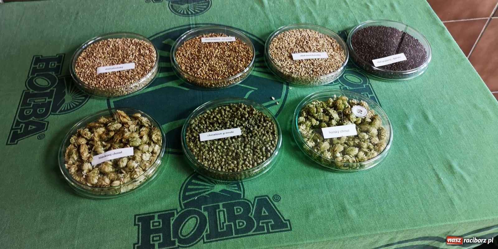 Zdjęcie w galerii na portalu naszraciborz.pl: Krzanowiccy seniorzy spacerowali w chmurach [FOTO] wiadomości z regionu