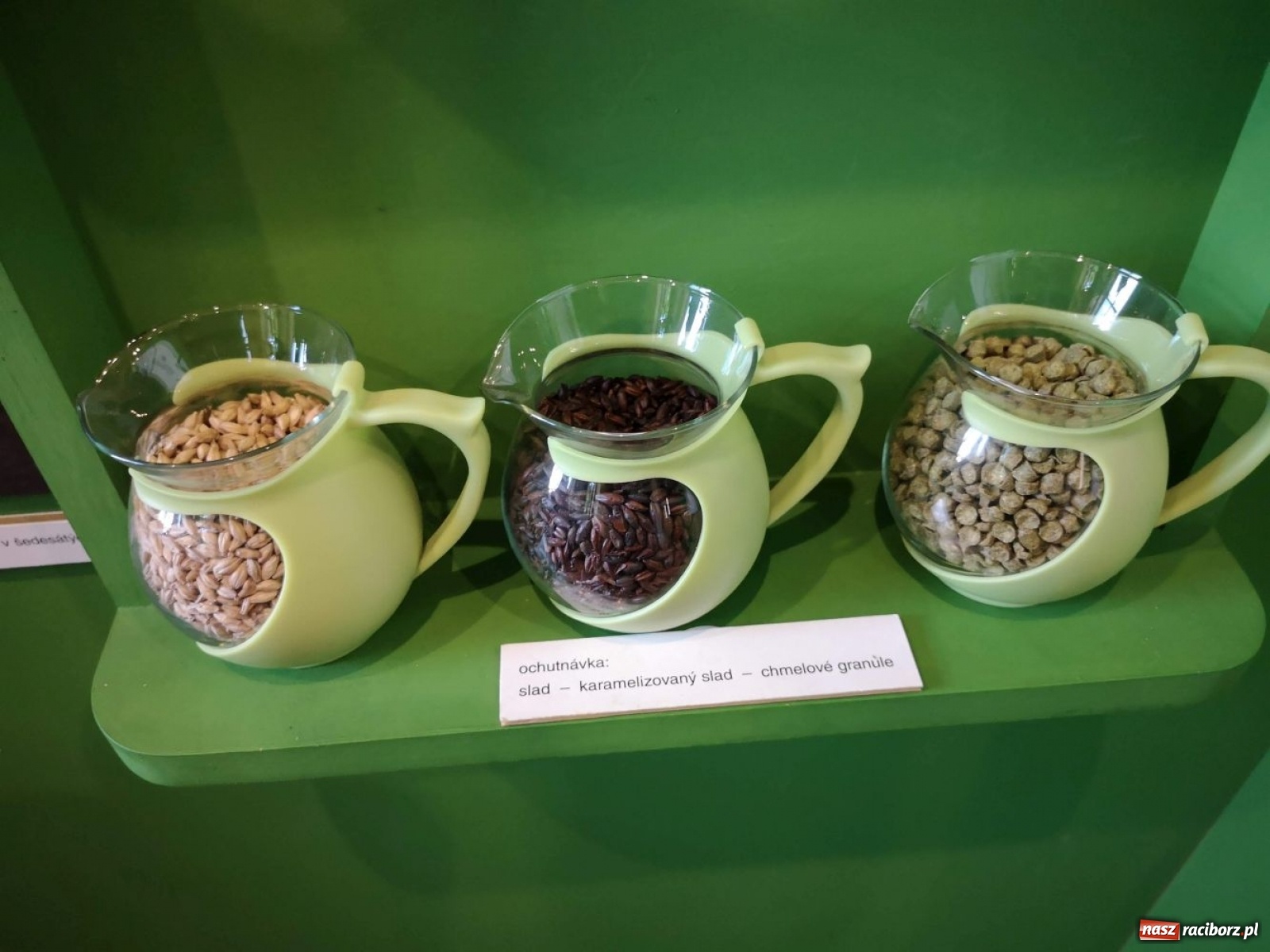 Zdjęcie w galerii na portalu naszraciborz.pl: Krzanowiccy seniorzy spacerowali w chmurach [FOTO] wiadomości z regionu