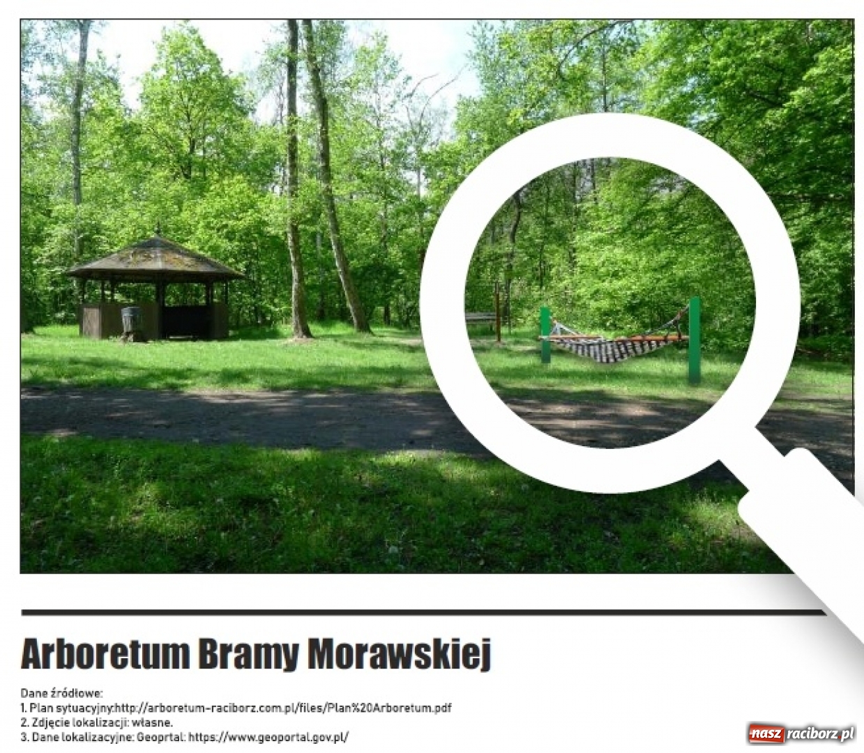 Zdjęcie w galerii na portalu naszraciborz.pl: Hamaki w centrum miasta. Autorka pokazuje wizualizacje  wiadomości z regionu