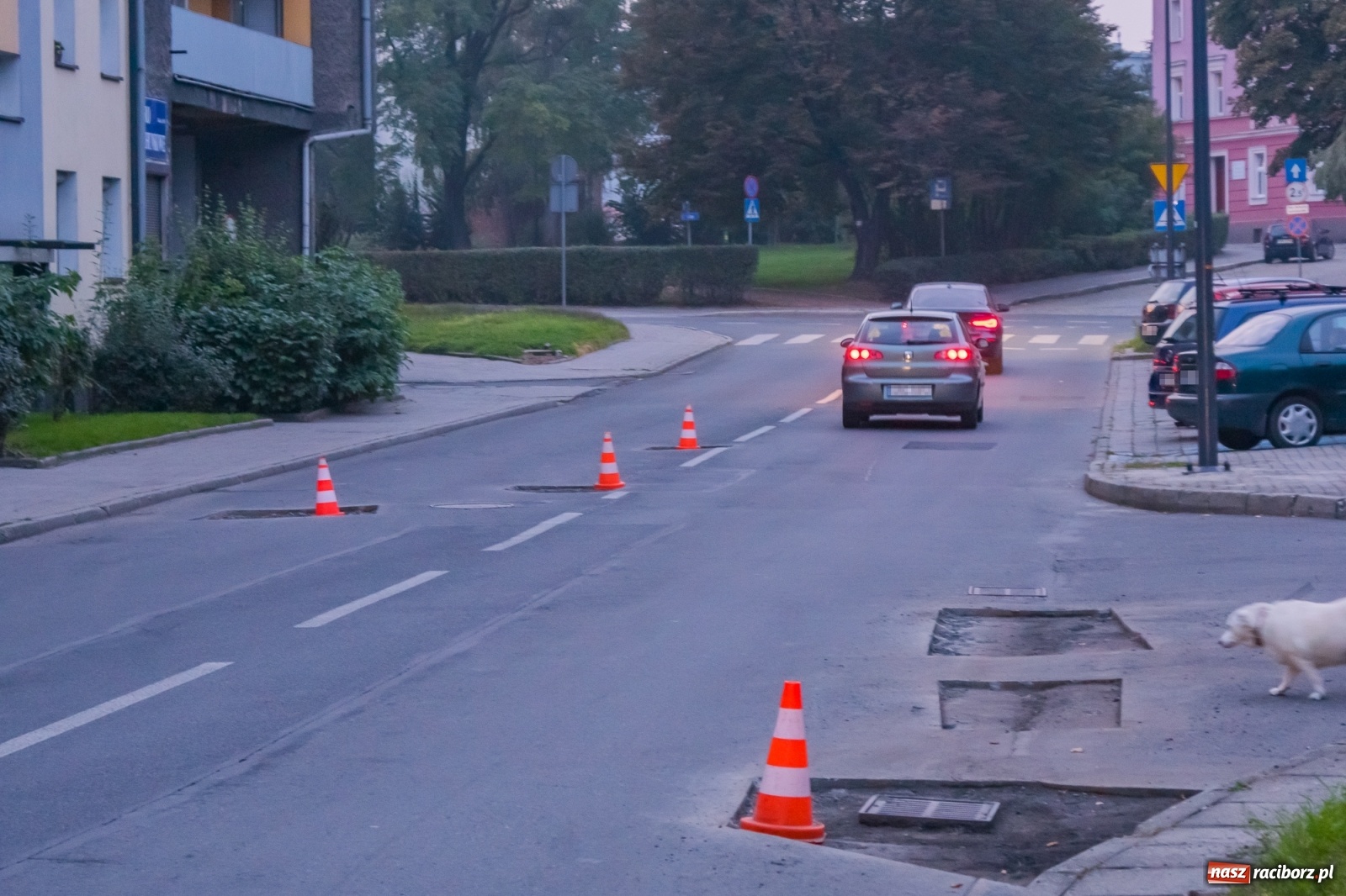 Zdjęcie w galerii na portalu naszraciborz.pl: Slalomem po Głowackiego [FOTO]  wiadomości z regionu
