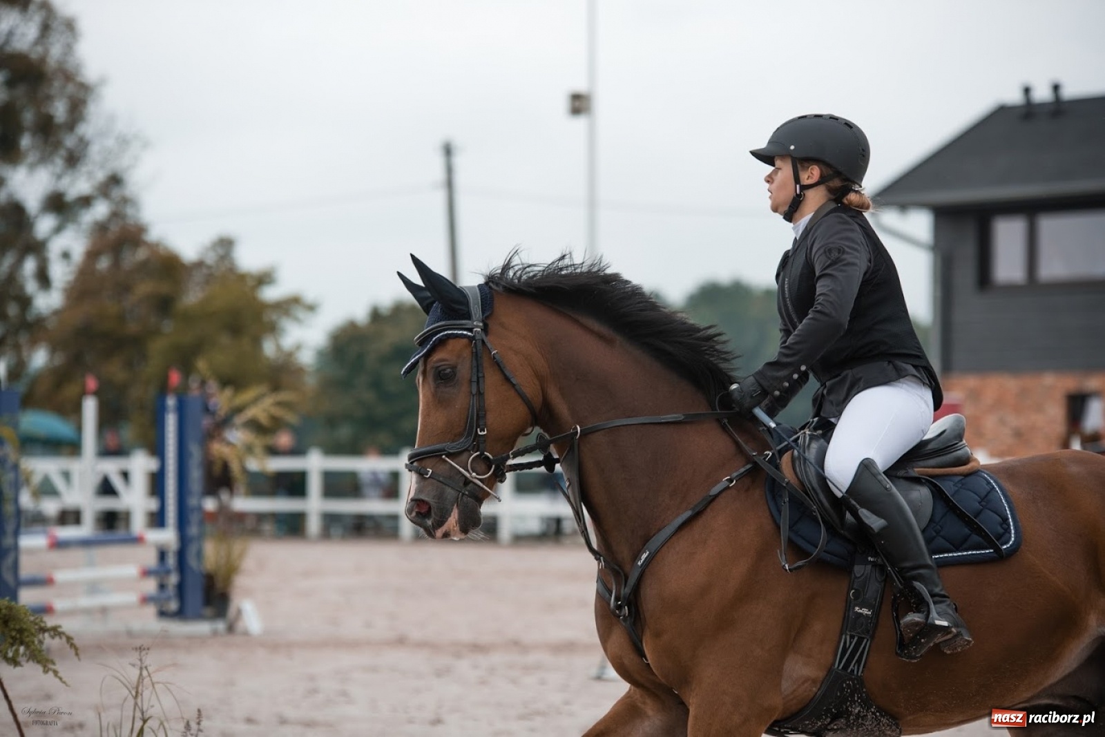 Zdjęcie w galerii na portalu naszraciborz.pl: Equistriada 2019. Młoda raciborzanka na podium wiadomości z regionu