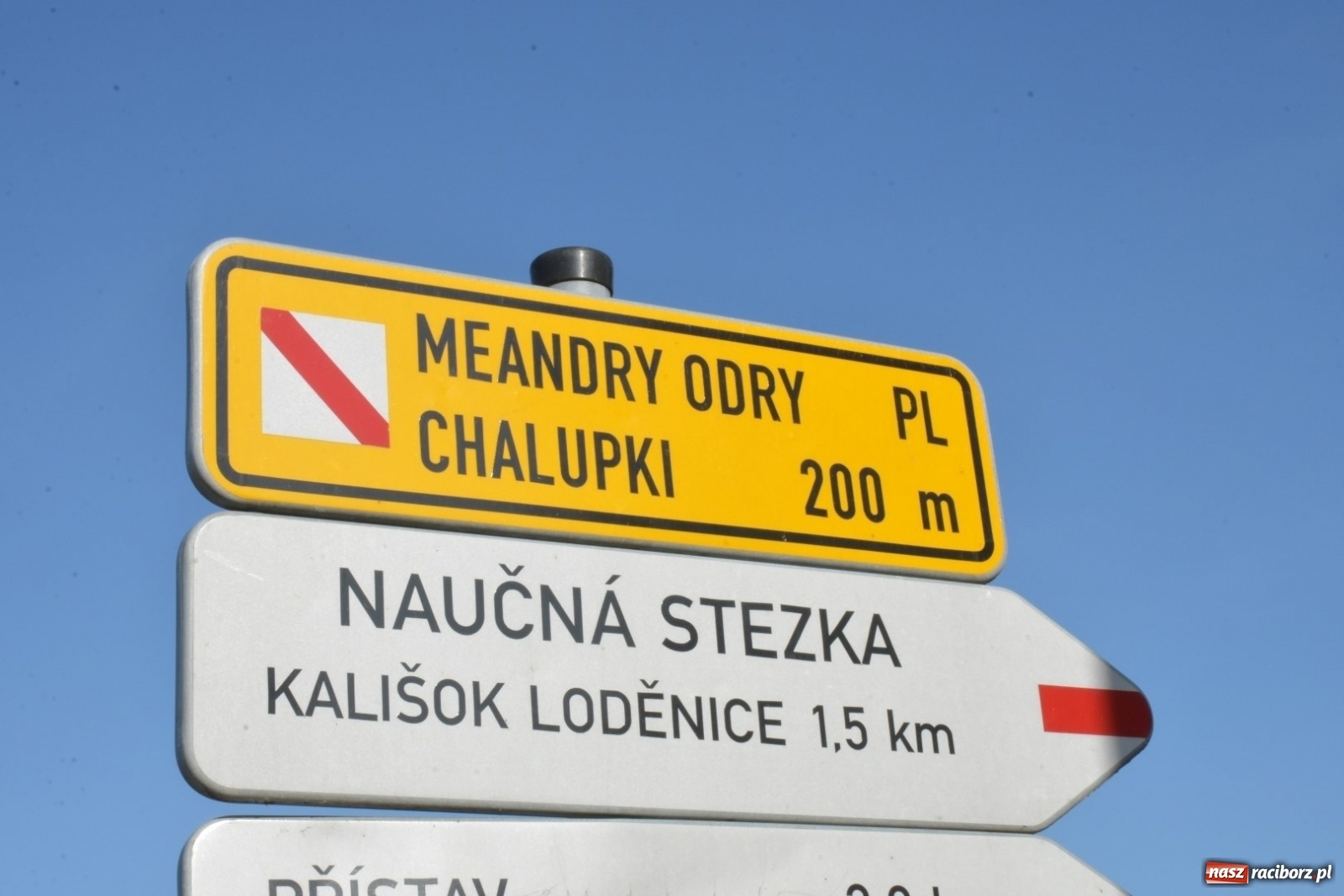 Zdjęcie w galerii na portalu naszraciborz.pl: Meandry Odry z lotu ptaka [FOTO]  wiadomości z regionu