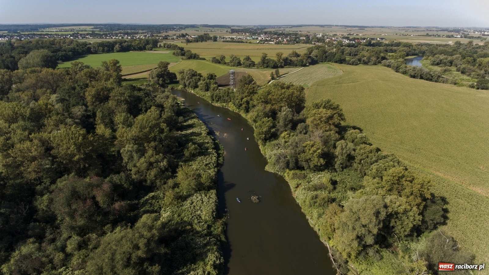 Zdjęcie w galerii na portalu naszraciborz.pl: Meandry Odry z lotu ptaka [FOTO]  wiadomości z regionu