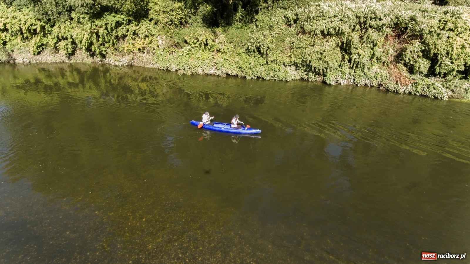 Zdjęcie w galerii na portalu naszraciborz.pl: Meandry Odry z lotu ptaka [FOTO]  wiadomości z regionu
