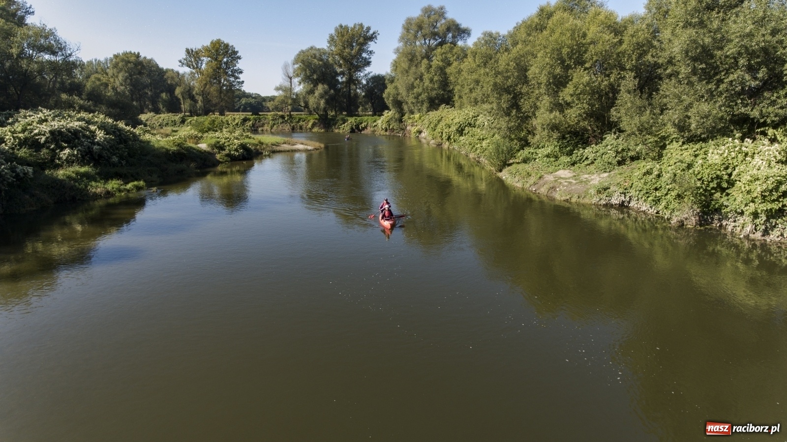 Zdjęcie w galerii na portalu naszraciborz.pl: Meandry Odry z lotu ptaka [FOTO]  wiadomości z regionu