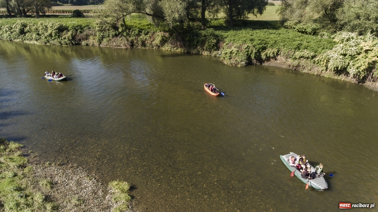 Zdjęcie w galerii na portalu naszraciborz.pl: Meandry Odry z lotu ptaka [FOTO]  wiadomości z regionu
