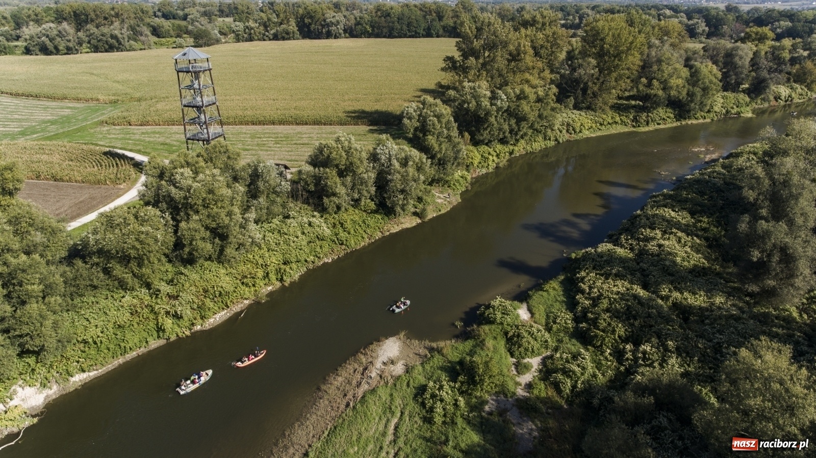 Zdjęcie w galerii na portalu naszraciborz.pl: Meandry Odry z lotu ptaka [FOTO]  wiadomości z regionu