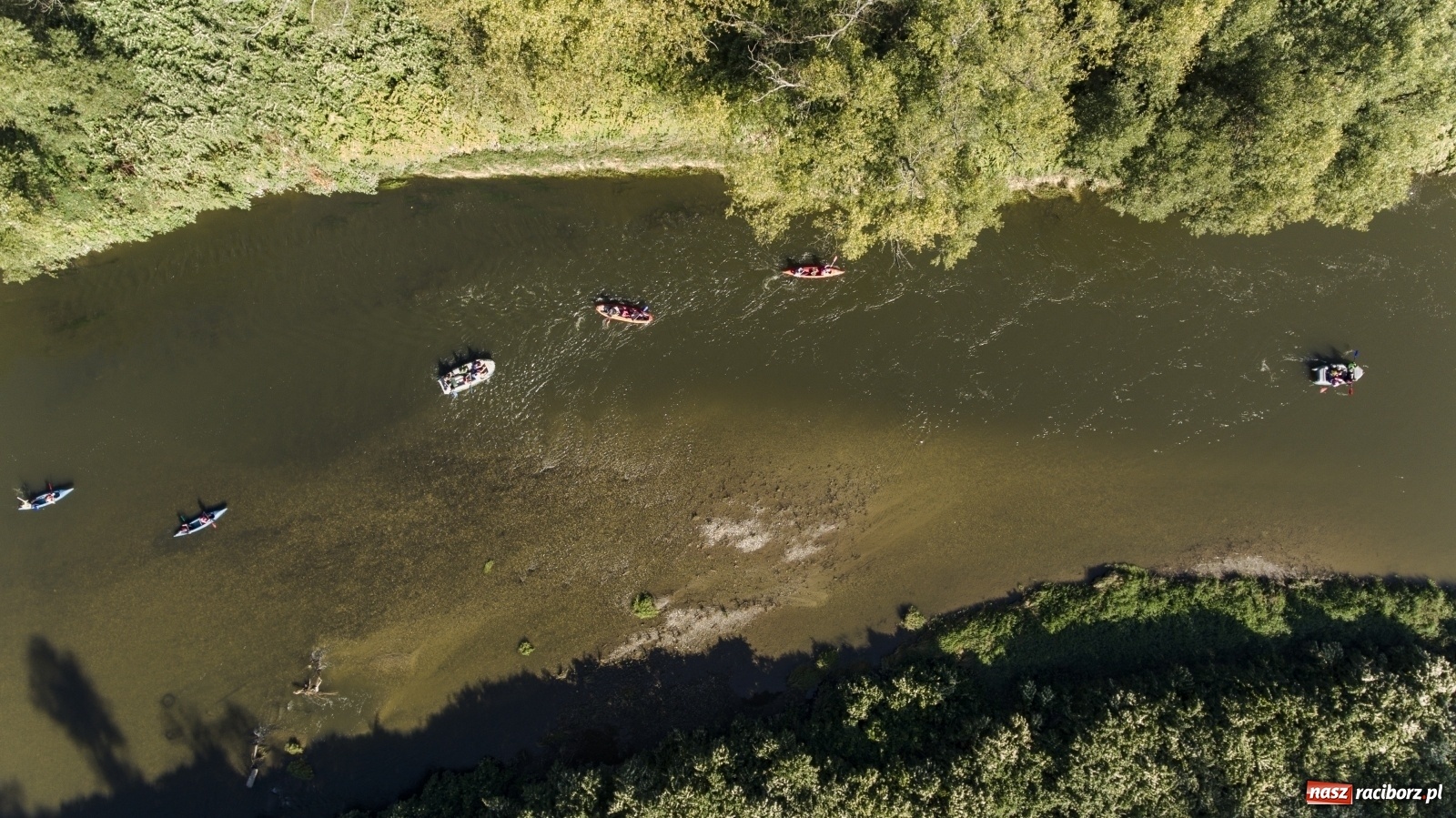 Zdjęcie w galerii na portalu naszraciborz.pl: Meandry Odry z lotu ptaka [FOTO]  wiadomości z regionu
