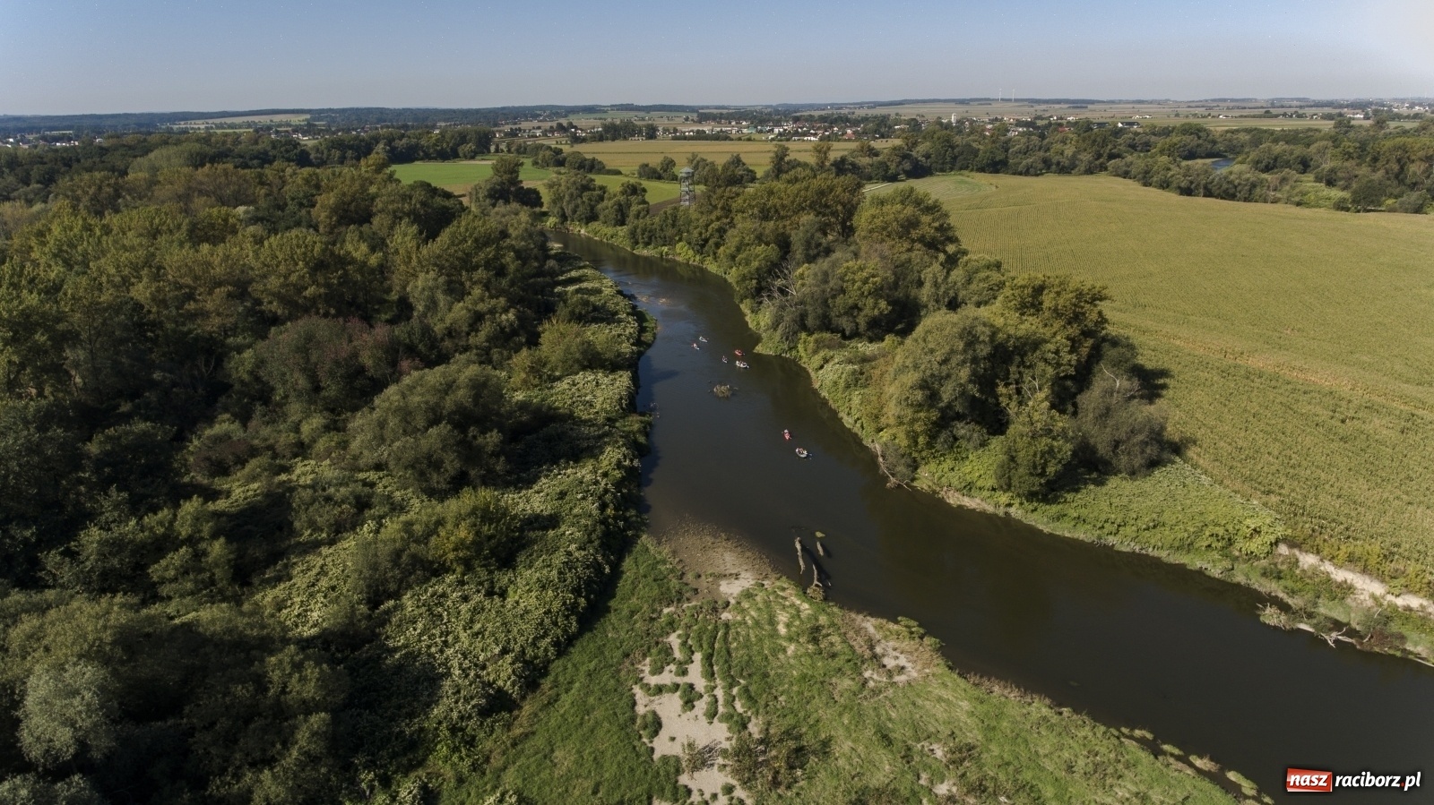 Zdjęcie w galerii na portalu naszraciborz.pl: Meandry Odry z lotu ptaka [FOTO]  wiadomości z regionu