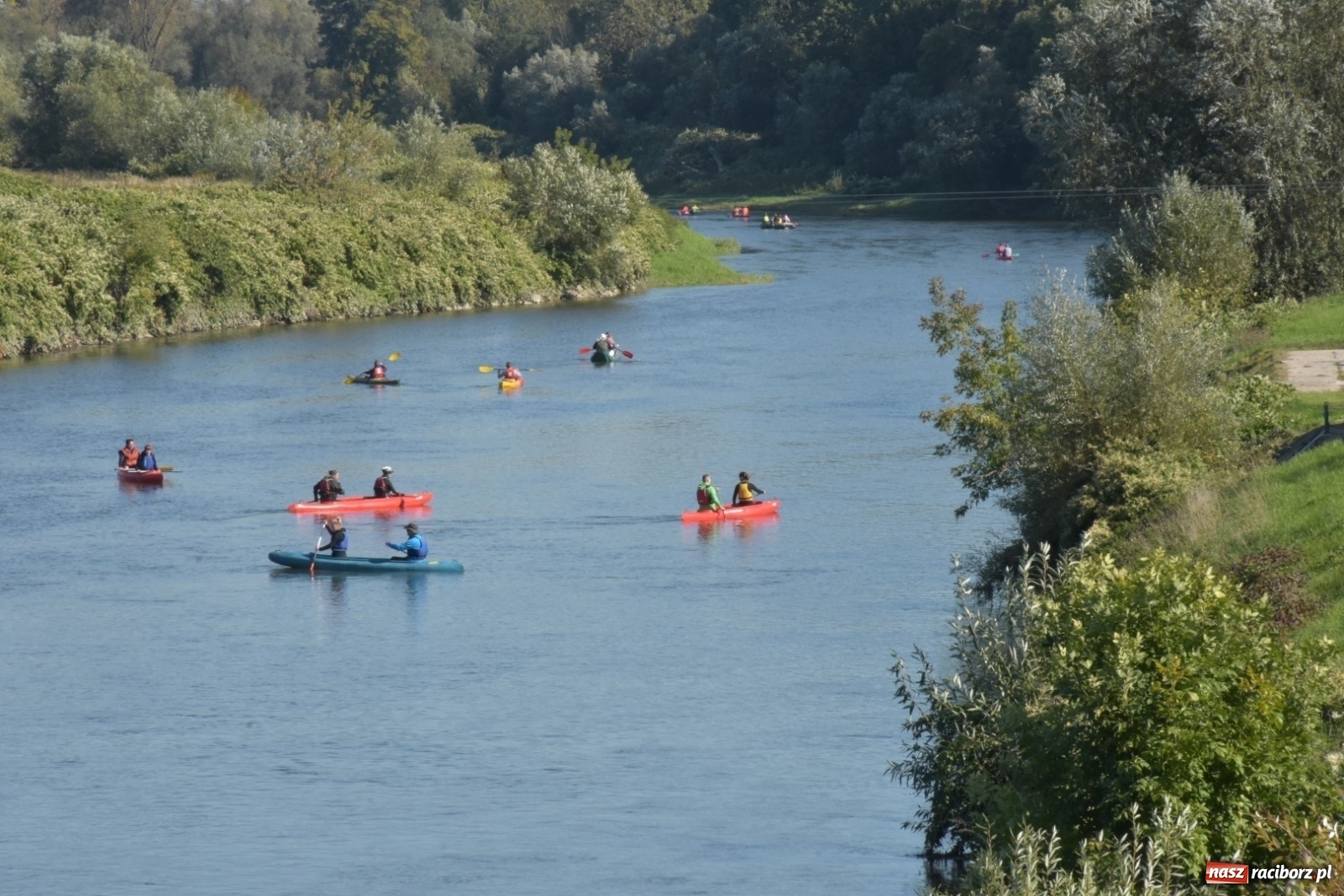 Zdjęcie w galerii na portalu naszraciborz.pl: Meandry Odry z lotu ptaka [FOTO]  wiadomości z regionu