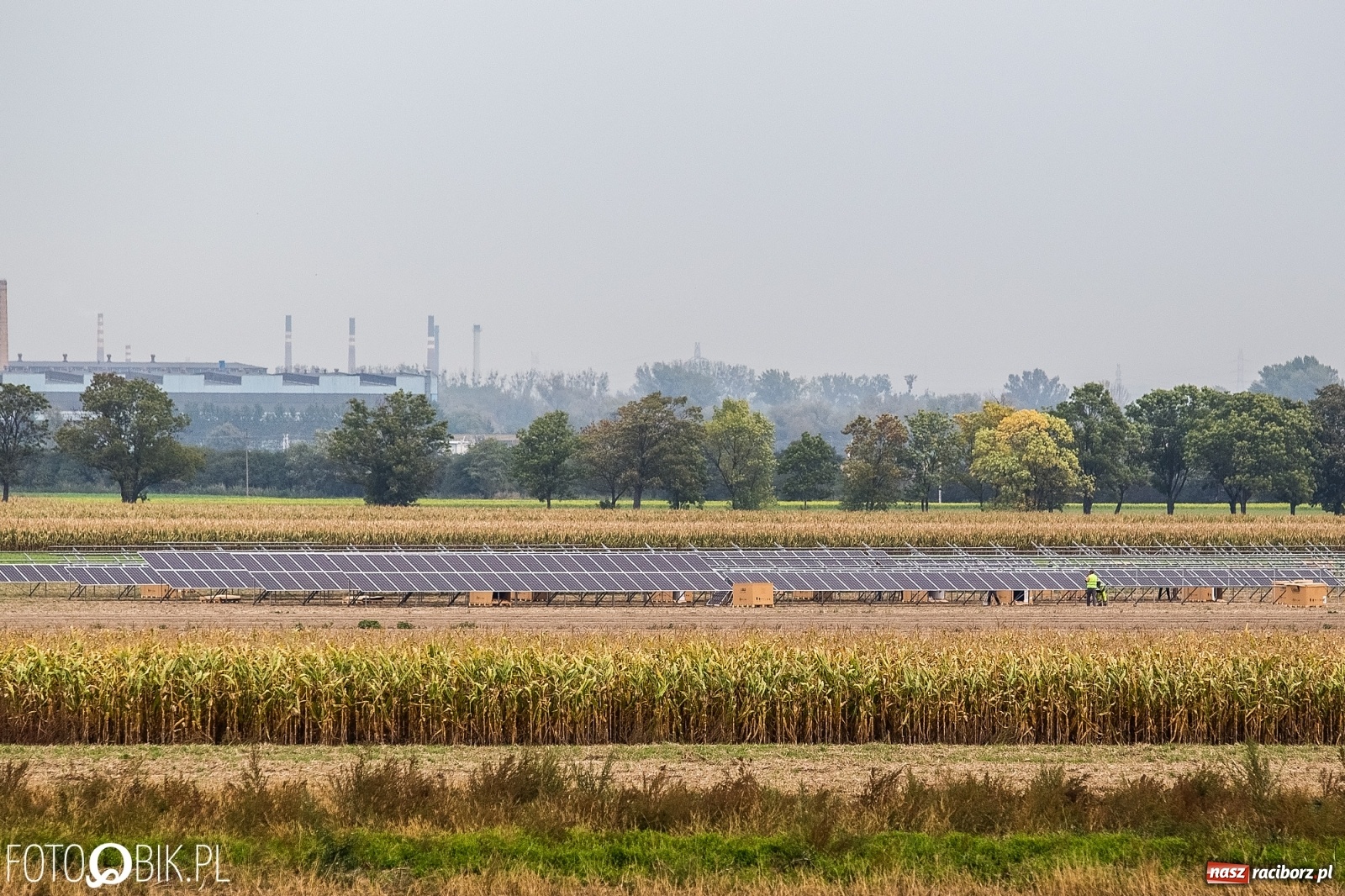 Zdjęcie w galerii na portalu naszraciborz.pl: Pod Raciborzem powstaje mała elektrownia słoneczna  wiadomości z regionu
